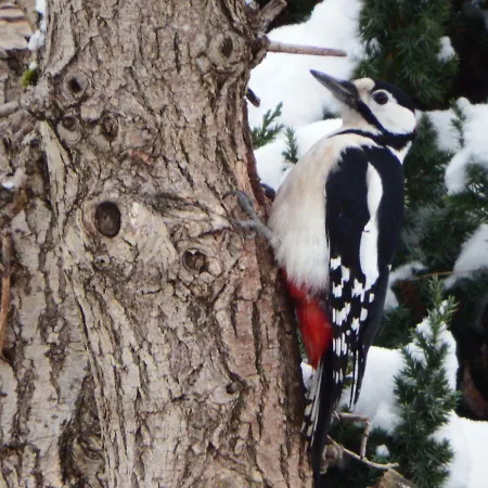 Resort Osrodek Wczasowy 