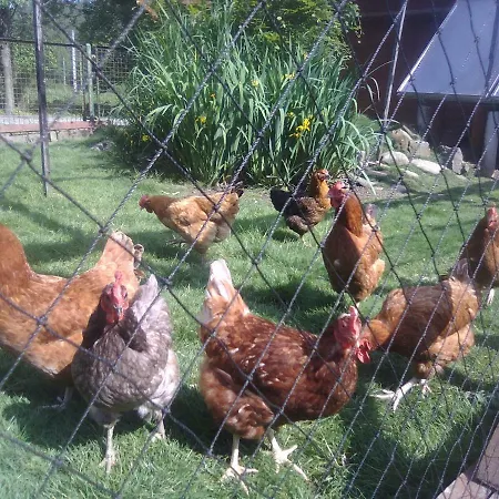 Rezort Osrodek Wczasowy 