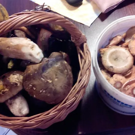 Resort Osrodek Wczasowy 