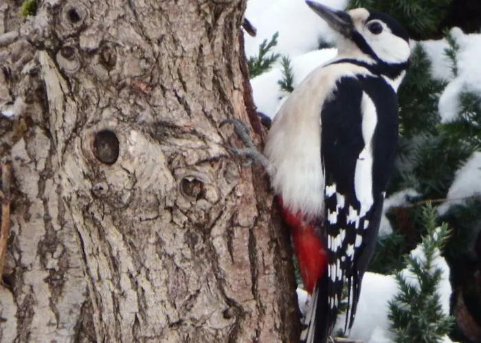 Курортный комплекс Osrodek Wczasowy 