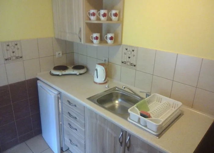 リゾート Osrodek Wczasowy 